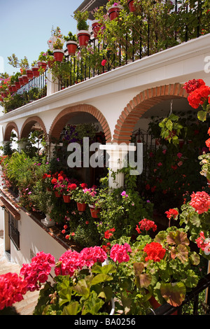 Blumen in einem Blumentopf weiße Dorf Mijas Málaga Sonnenküste Andalusien Spanien Stockfoto