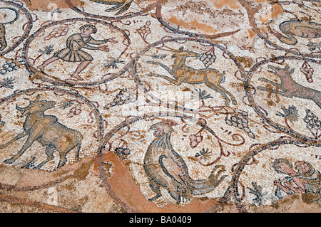 Figurative antike Bodenmosaik Darstellung Vögel in Caesarea Nationalpark Israel Stockfoto