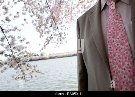 31. März 2009 Washington D C die Kirschblüten entlang der Tidal Basin direkt an der National Mall Stockfoto