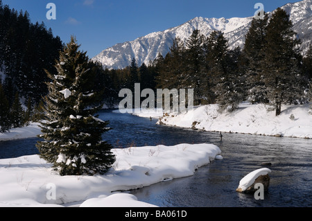 Waten Fischer auf der Madison Fluss im Winter mit Schnee bedeckt rocky mountain Madison Bereich montana Stockfoto