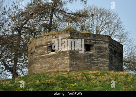 Dem zweiten Weltkrieg Beton Bunker Festung. A65 Straße, Kirkby Lonsdale, Cumbria, England, Vereinigtes Königreich, Europa. Stockfoto