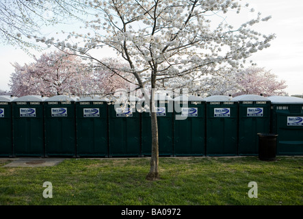 31. März 2009 Washington D C die Kirschblüten entlang der Tidal Basin direkt an der National Mall Stockfoto