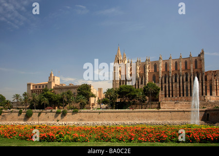 Kathedrale von Palma-Blick vom Parc De La Mar See-Palma de Mallorca Mallorca Insel Balearischen Inseln Mittelmeer Spanien Stockfoto