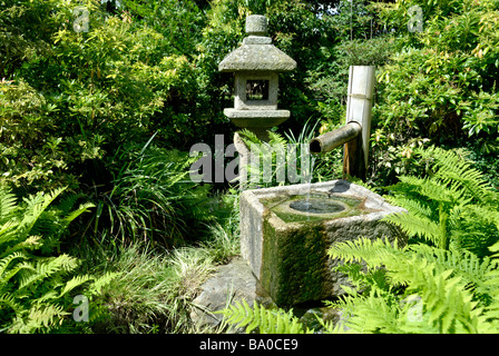 Blick auf Wasserspiel umgeben mit Laub an die Royal Botanical Gardens in Kew, London, England Stockfoto