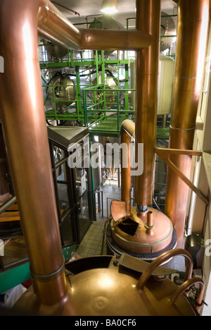 Schwein-Haus-Brauerei, Fayetteville, Arkansas, Vereinigte Staaten von Amerika Stockfoto