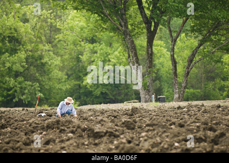 Crater of Diamonds State Park in der Nähe von Murfreesboro, Arkansas. Stockfoto