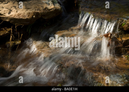 Mount Magazine Staatspark in Arkansas. Stockfoto