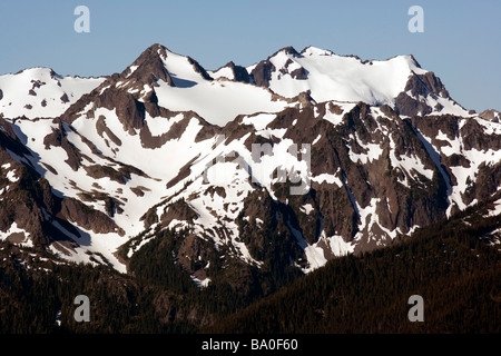 Olympic Mountains - Hurricane Ridge - Olympic Nationalpark, Washington Stockfoto