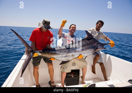 Sportfischen in Drake Bay, Costa Rica. Fang des Tages Blue Marlin (Makaira Nigricans). Stockfoto