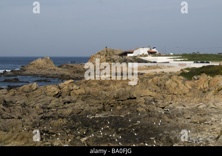 Boa Nova Teehaus im Leça da Palmeira in der Nähe von Porto, Portugal Stockfoto