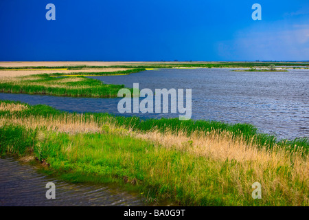 Überblick über die Teal Zelle am Oak Hängematte Marsh Interpretive Centre in der Nähe von Stonewall Manitoba Kanada Stockfoto