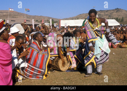 Reed Dance zeremonielle Teilnehmer Kwa Zulu natal South Africa Stockfoto