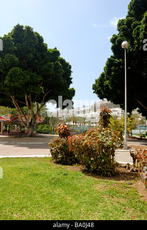 Eine schöne Aussicht von Avenida del Valle in den Park. Puerto Rico, Gran Canaria, Kanarische Inseln, Spanien, Europa. Stockfoto