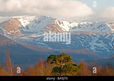 Die verschneiten Coires Braeriach an den nördlichen Flanken des Cairngorm Mountains SCO 2307 Stockfoto