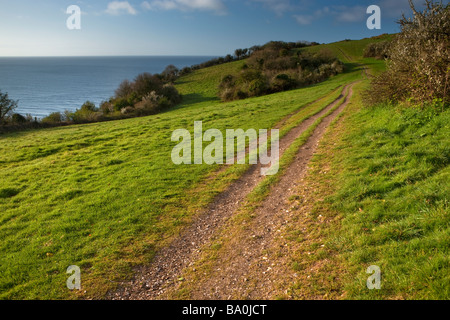 Blick vom Weg - Bier zu Branscombe. Devon. VEREINIGTES KÖNIGREICH. Europa Stockfoto