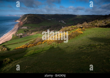 Branscombe Blick vom Weg zum Bier. Devon. VEREINIGTES KÖNIGREICH. Europa Stockfoto