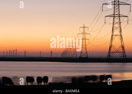 Windkraftanlagen und Strommasten und Linien Romney Marsh Kent UK Stockfoto