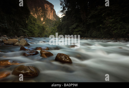 Die Melinau Schlucht in Gunung Mulu National Park, Sarawak, Borneo. Stockfoto