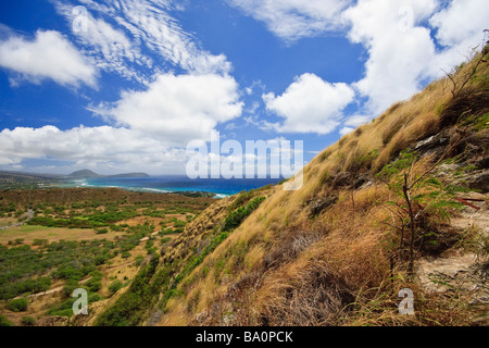 Blick vom Diamond Head Krater Stockfoto