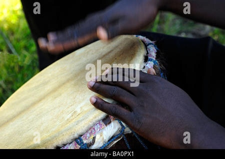 Nahaufnahme des Afro-Karibischen Menschen spielen afrikanische Trommeln Stockfoto