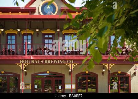 Schwein-Haus-Brauerei, Fayetteville, Arkansas, Vereinigte Staaten von Amerika Stockfoto