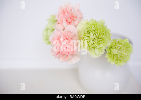 Nelke Blumen und vase Stockfoto