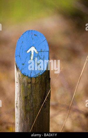 Fuß aus Holz Richtung Marker mit Pfeil markiert den Weg auf einem Naturlehrpfad Stockfoto