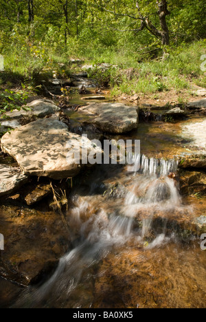 Mount Magazine Staatspark in Arkansas. Stockfoto