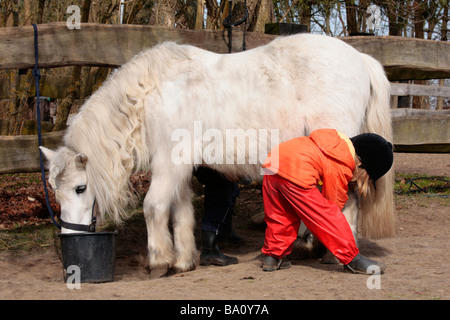 ein junges Mädchen, die ihre Ponys Hufe Reinigung Stockfoto