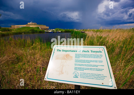 Zeichen, die Erläuterung der Bedeutung der Ente Tunnels an der Oak Hängematte Marsh Interpretive Centre in der Nähe von Stonewall Manitoba Kanada Stockfoto