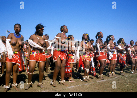 Reed Dance zeremonielle Teilnehmer Kwa Zulu natal South Africa Stockfoto