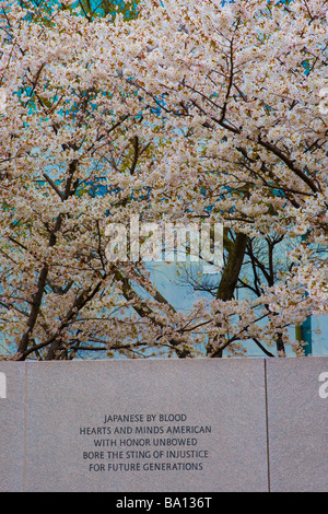 Offizielle Entschuldigung der USA für WW2 Internierungslager Japanese American Memorial nach Washington DC, Patriotismus Stockfoto