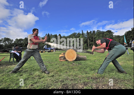 Zwei Logger mit einer traditionellen Handsäge, um ein Kiefer-Protokoll zu schneiden. Stockfoto