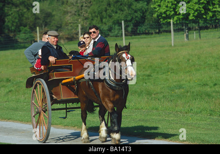 Pferdekutsche im Muckross House Stockfoto