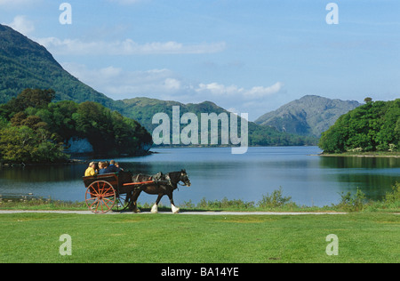 Pferdekutsche im Muckross House Stockfoto