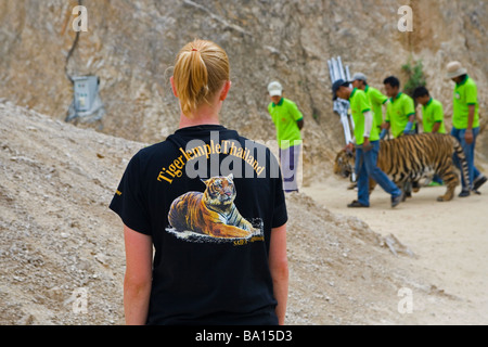 Eine Frau trägt t-Shirt mit A Tiger gedruckt auf es ist beobachten Menschen Begleitung A Tiger von The Tiger Canyon, die Käfige Stockfoto