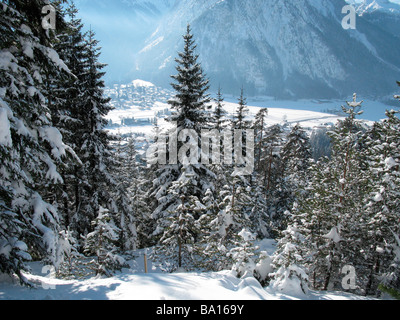 Berglandschaft mit Tanne Wald und einem Dorf im Hintergrund bei den Aufnahmen von Berg, Tirol, Alpen Österreich Stockfoto