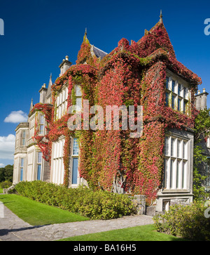 Muckros House bedeckt in rot Efeu. Eine herbstliche Anzeige der Farbe deckt das alte Jagdschloss thront auf der Seite Killarney Lake Stockfoto