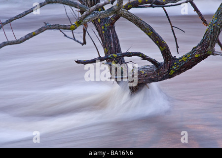 Sackville Fluss - Bedford, Neuschottland, Kanada Stockfoto