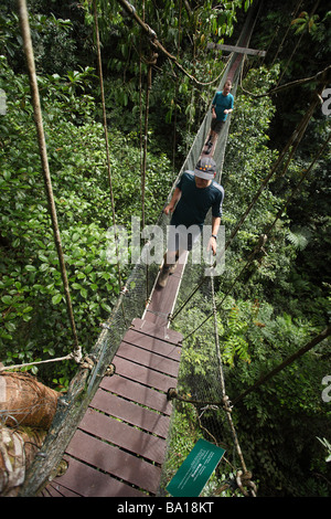 Überqueren eines Überdachung-Weg hoch über dem Dschungel Boden in Mulu, Borneo Malaysia Stockfoto