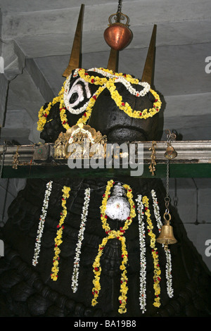 Riesige Nandi-Statue im Bull Tempel, Bangalore Stockfoto