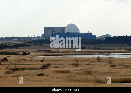 Minsmere Nature Reserve, in der Nähe des Kernkraftwerks Sizewell B, Suffolk, UK. Stockfoto