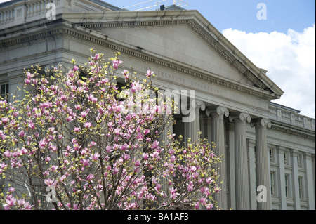 Die United States Treasury Building Washington DC, USA-Amerika Stockfoto