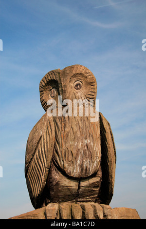 Eine hölzerne Eule Skulptur neben einem Kinder-Spiel und Picknick-Bereich in den Bedfont Lakes Country Park, Bedfont, UK. Stockfoto