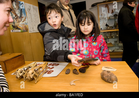 Das Museum in Oxford hat einen Tag der Wissenschaft für Kinder wo bekommen Sie die Chance, check out Dinosaurierknochen Stockfoto