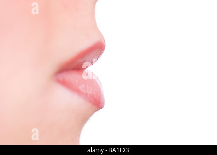 Seitenansicht Nahaufnahme von einer jungen Frau Mund tragen Lipgloss vor einem weißen Hintergrund Stockfoto