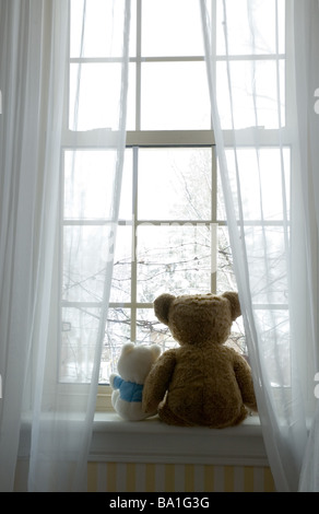 Zwei Bären sitzen im Fenster Stockfoto