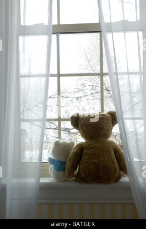 Zwei Bären sitzen im Fenster Stockfoto