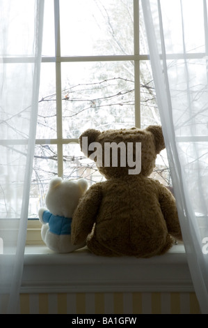 Zwei Bären sitzen im Fenster Stockfoto