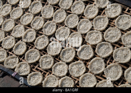 LAOS. REISKUCHEN trocknen IN der Sonne IN einem Dorf am MEKONG Fluss Foto Julio Etchart Stockfoto